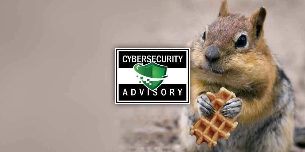 Critical Advisory Notice for SquirrelWaffle and Qakbot